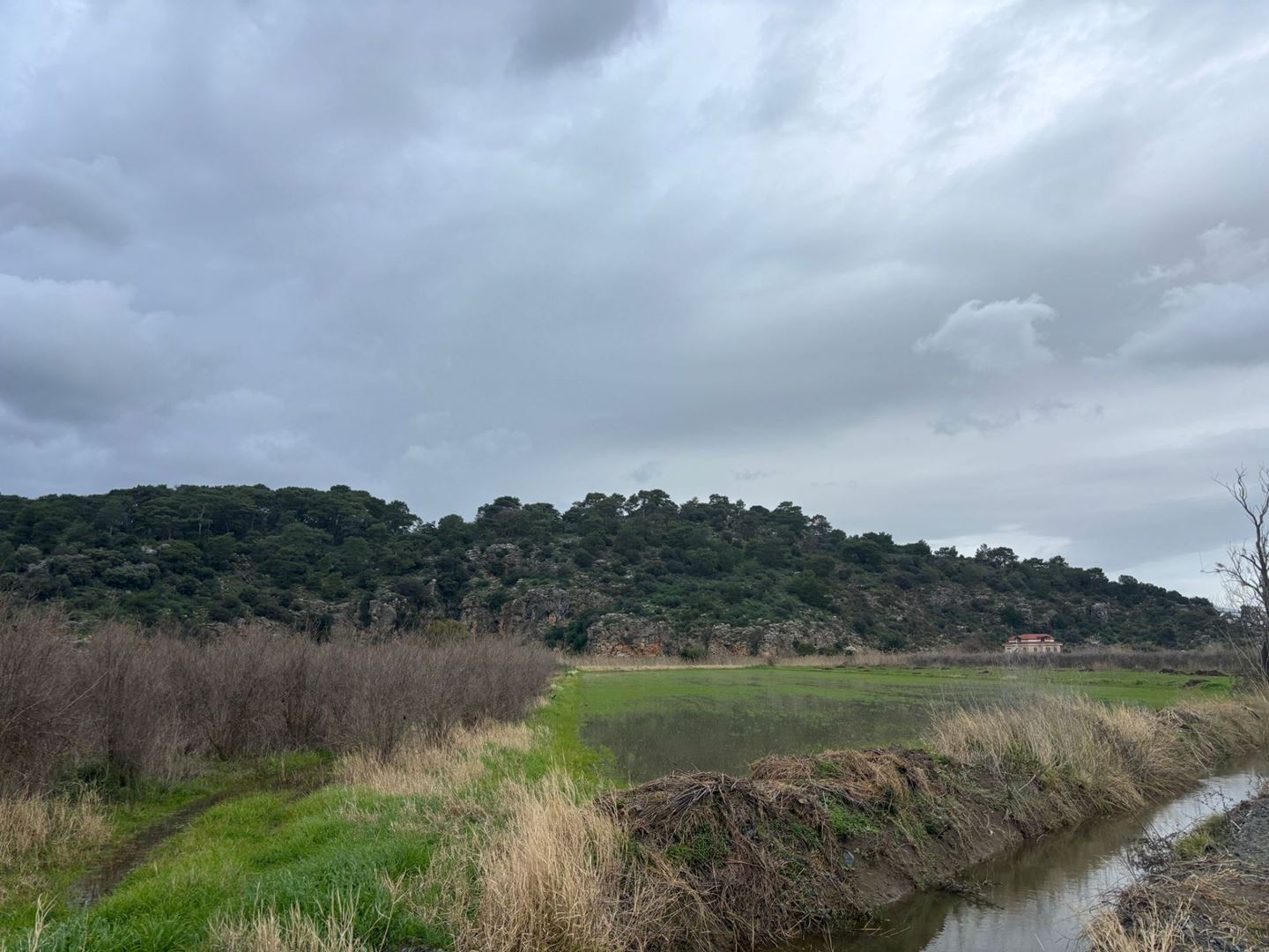 ORTACA GÜZELYURT MAHALLESİNDE SATILIK TARLA