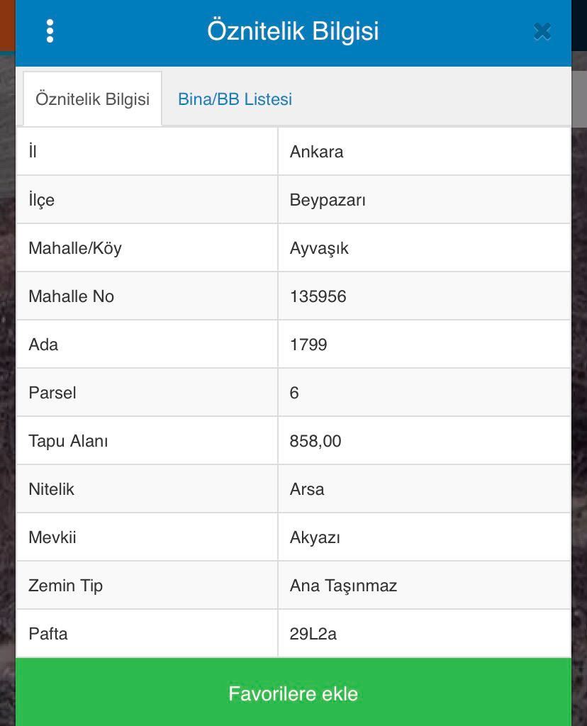 ALTINEMLAK GLOBAL BEYPAZARI TEMSİLCİLİĞİ