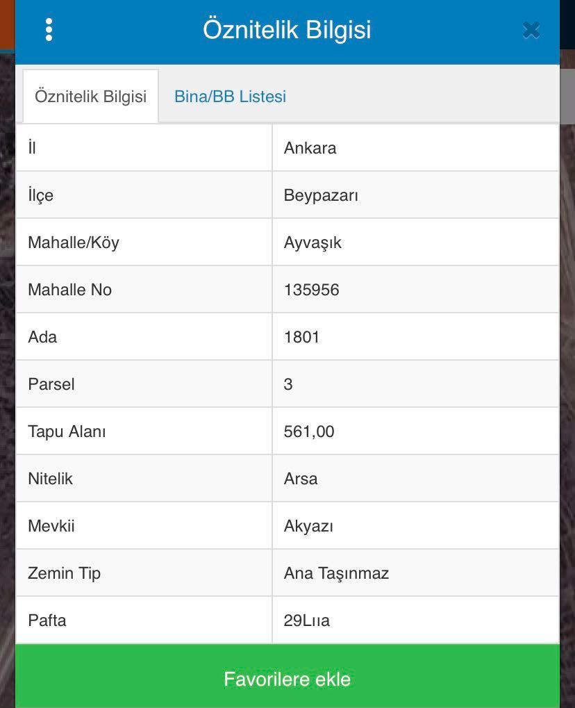ALTINEMLAK GLOBAL BEYPAZARI TEMSİLCİLİĞİ