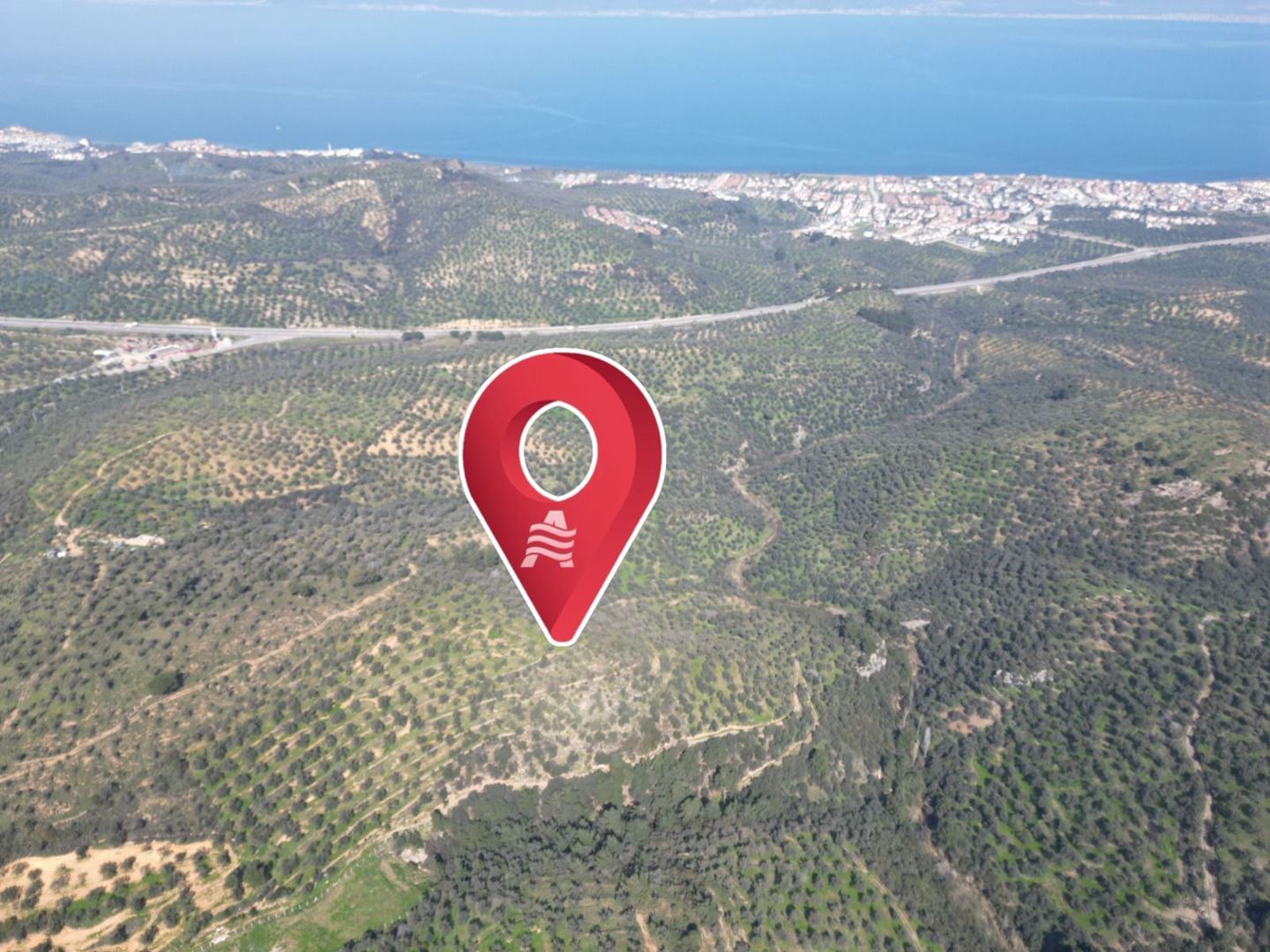 ALTIN EMLAKTAN BURHANİYE PELİTKÖYDE SATILIK 12.960 M2 ZEYTİNLİK