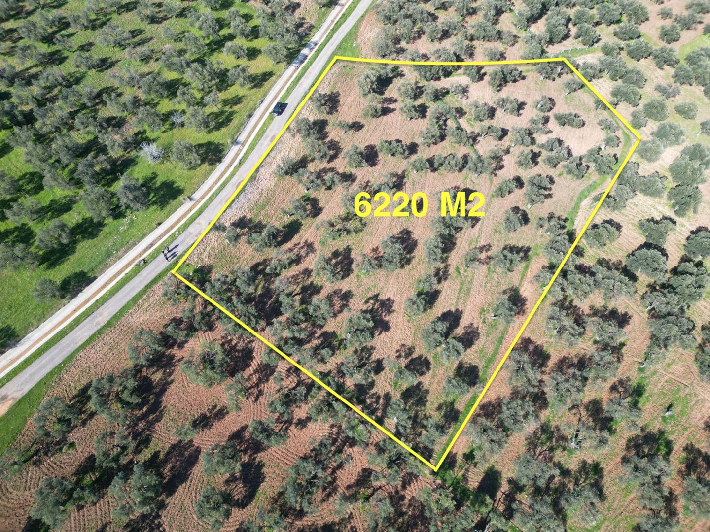 AYVALIK KAZIMKARABEKİRDE SATILIK 6220 M² ZEYTİNLİK