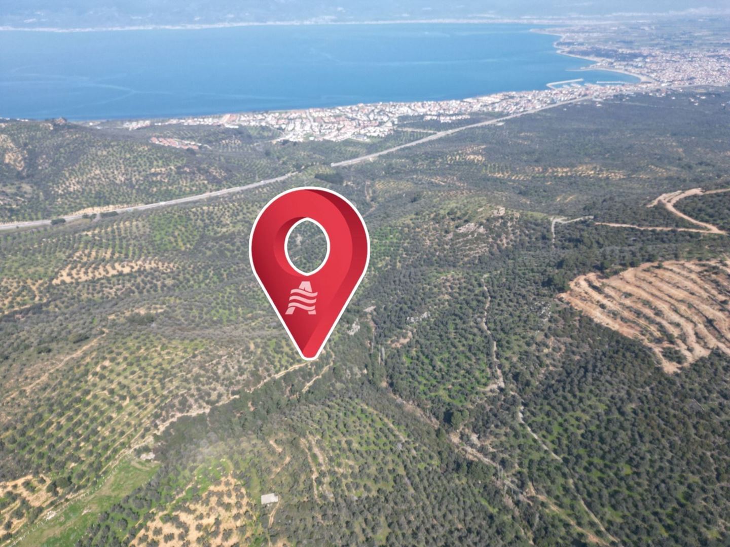 ALTIN EMLAKTAN BURHANİYE PELİTKÖY DE SATILIK 7087 M2 ZEYTİNLİK