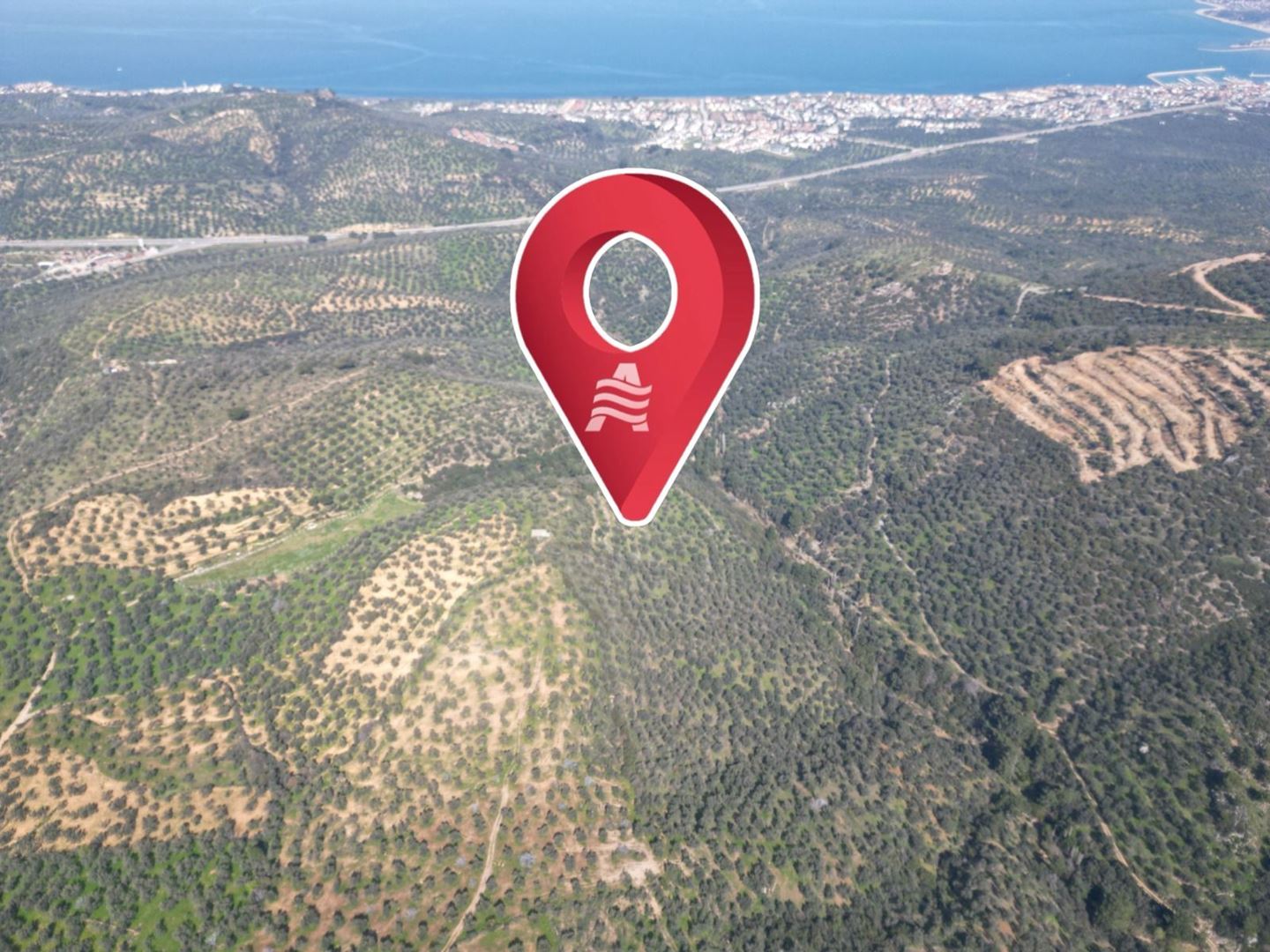 ALTIN EMLAKTAN BURHANİYE PELİTKÖYDE SATILIK 5137 M2 ZEYTİNLİK